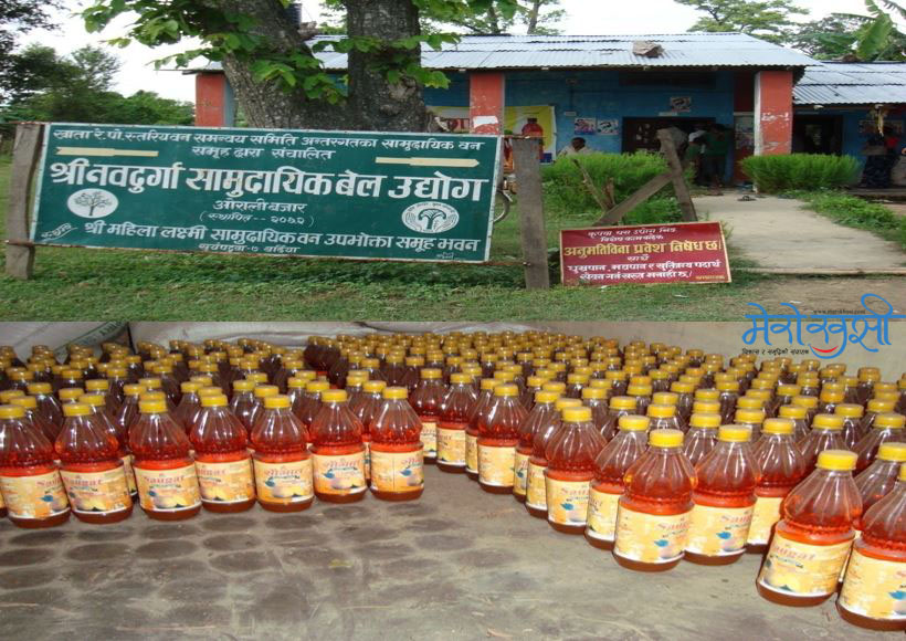 बर्दियामा शुरु भयो बेल सर्वत उत्पादन