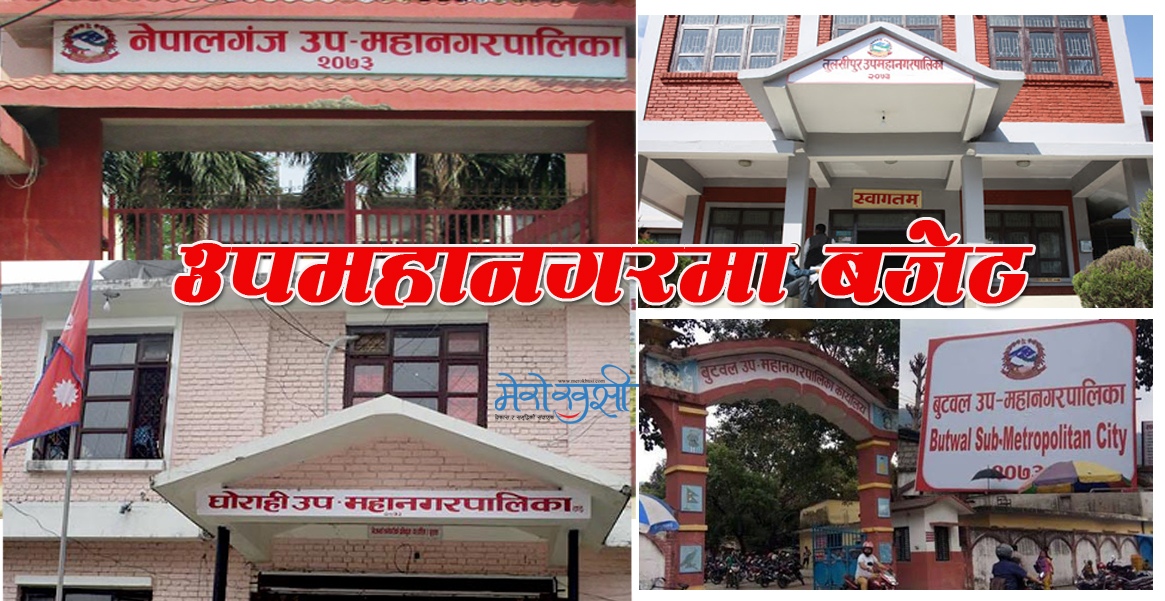 उपमहानगरमा वडालाई बजेट : दामासाही र आफूखुुसी मापदण्ड