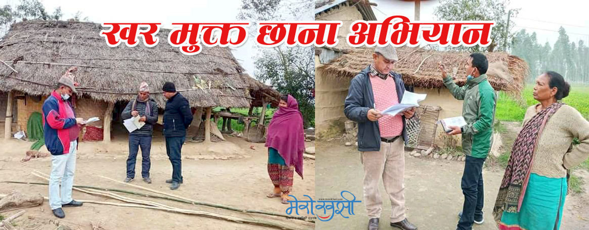 टीकापुरका ३ सय खरका छानामा कर्कटपाता लगाइँदै