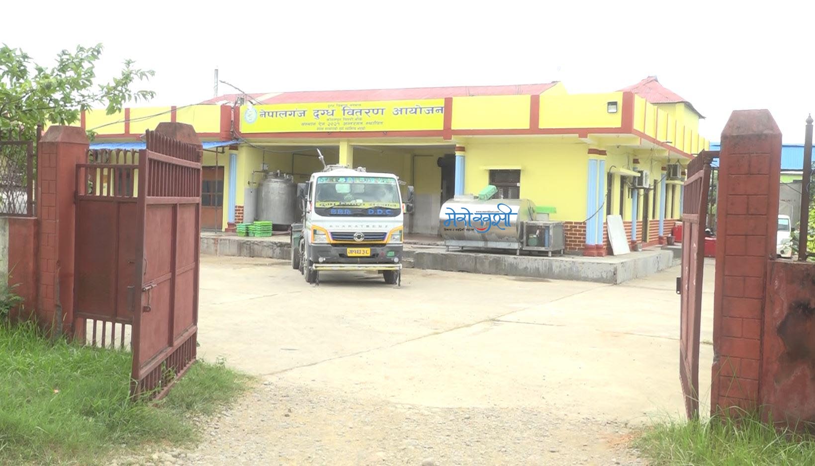 ८० करोडको दुध र मख्खन नेपालगन्ज दुग्ध बितरण आयोजनाको गोदाममा थन्कियो