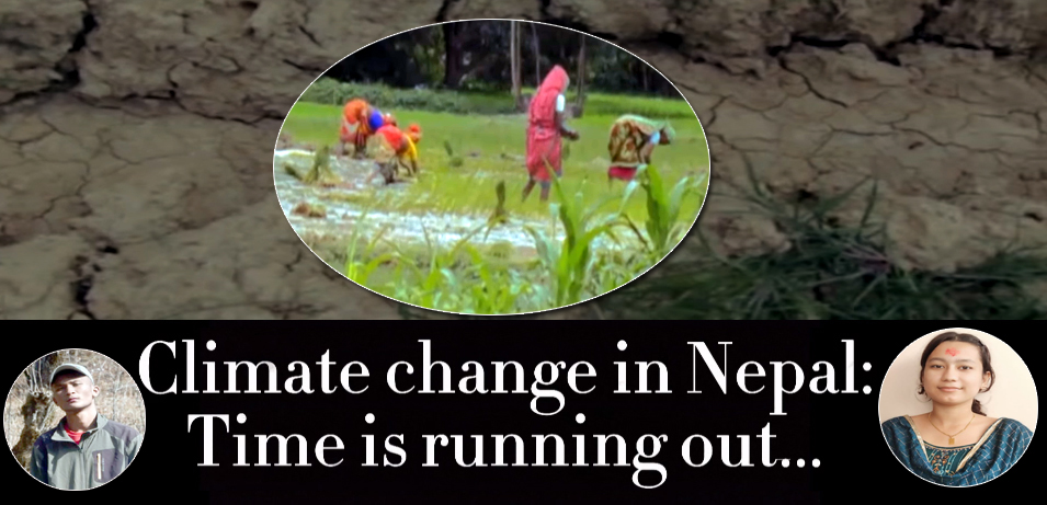 स्प्रिङडेल स्कुलका विद्यार्थीले निर्माण गरेको सर्टमुभि ब्रिटिस काउन्सिलको टप–१५ मा छनोट