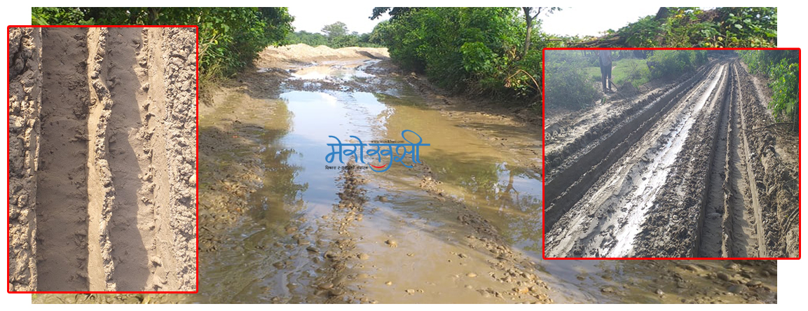 ट्रिपरले सडक बाह्रैमास हिलाम्मे (फोटो फिचरसहित)