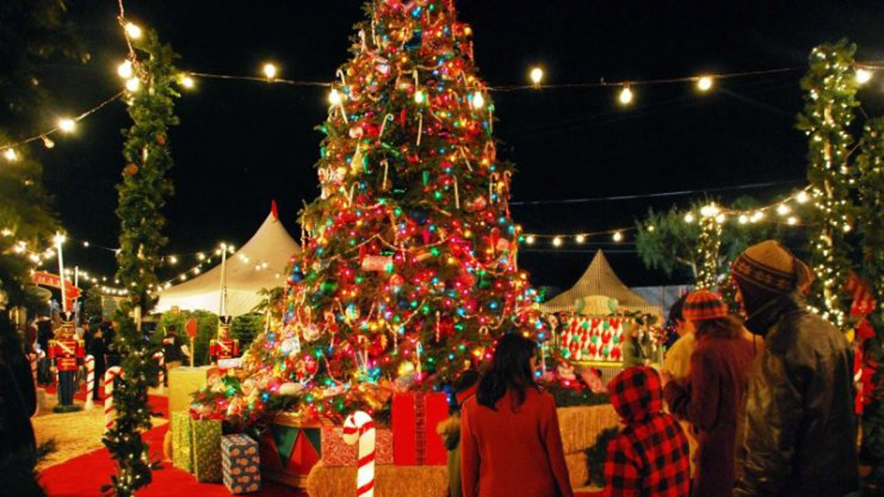 विश्वभर क्रिसमस डे धुमधामका साथ मनाइँदै