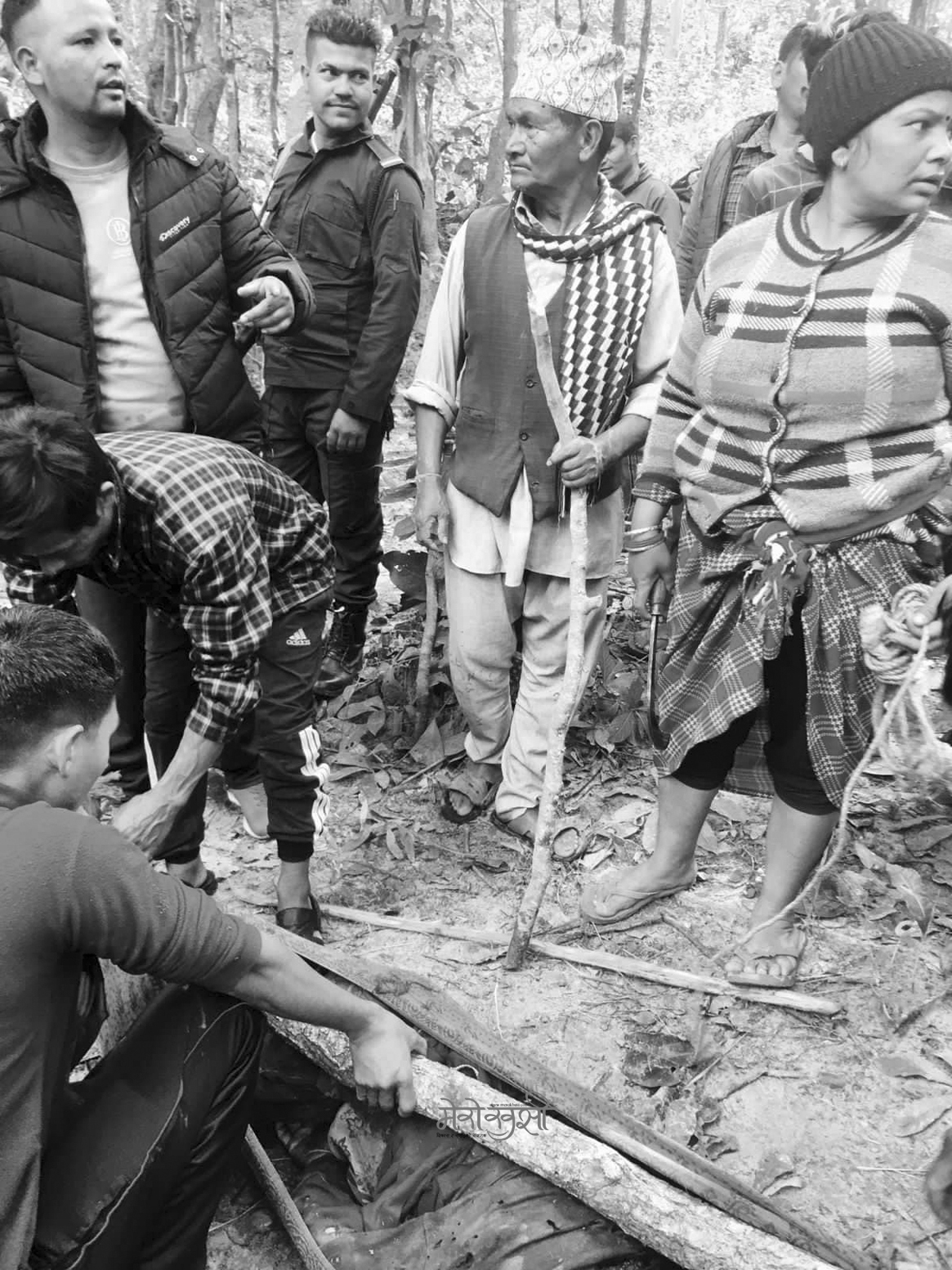 सामुदायिक वनमा पाटे बाघको आक्रमणबाट महिलाको मृत्यु