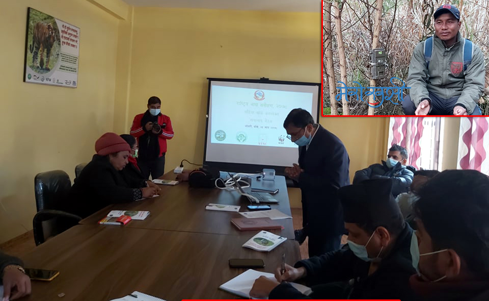 बाँके राष्ट्रिय निकुञ्जमा बाघ सर्वेक्षण सुरु भएको एक महिनापछि सरोकारवालाबीचको समन्वय बैठक