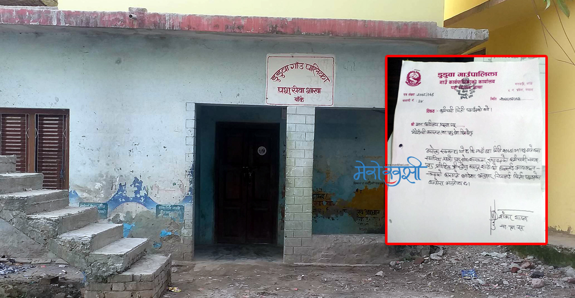 डुडुवाको पशु शाखाका कर्मचारीको लापरबाहीले किसान मारमा