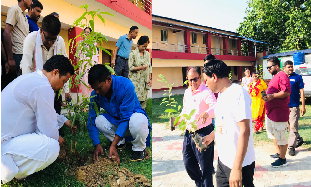 नेपालगन्ज ग्यालरी १४औं वर्ष प्रवेशका अवसरमा कन्या माविमा वृक्षारोपण